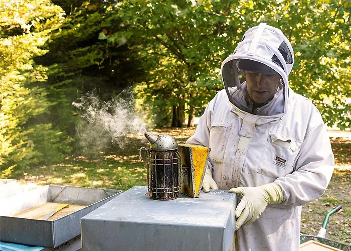 Greet Hotel Beaune (Cote d'Or)